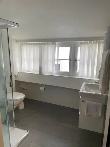 شقة Penthouse زيورخ